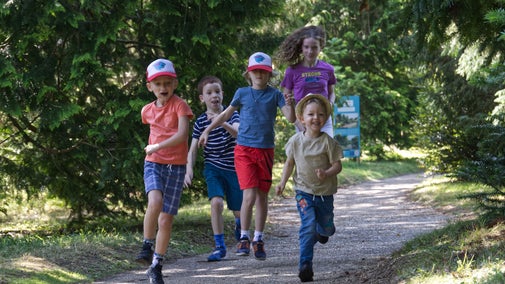 Children running down a path through a garden in summer